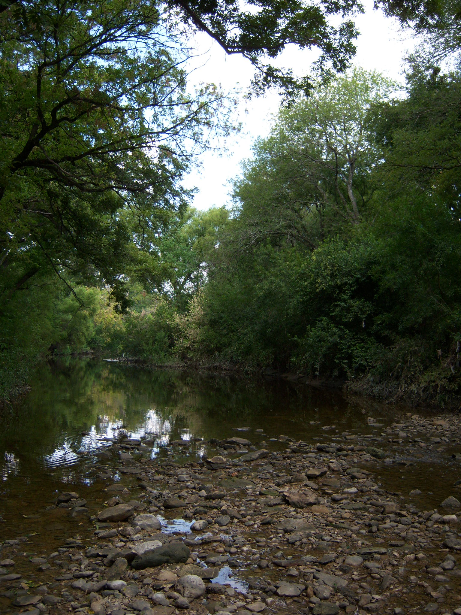Photo of Salado Creek, near the Oakwell Trailhead