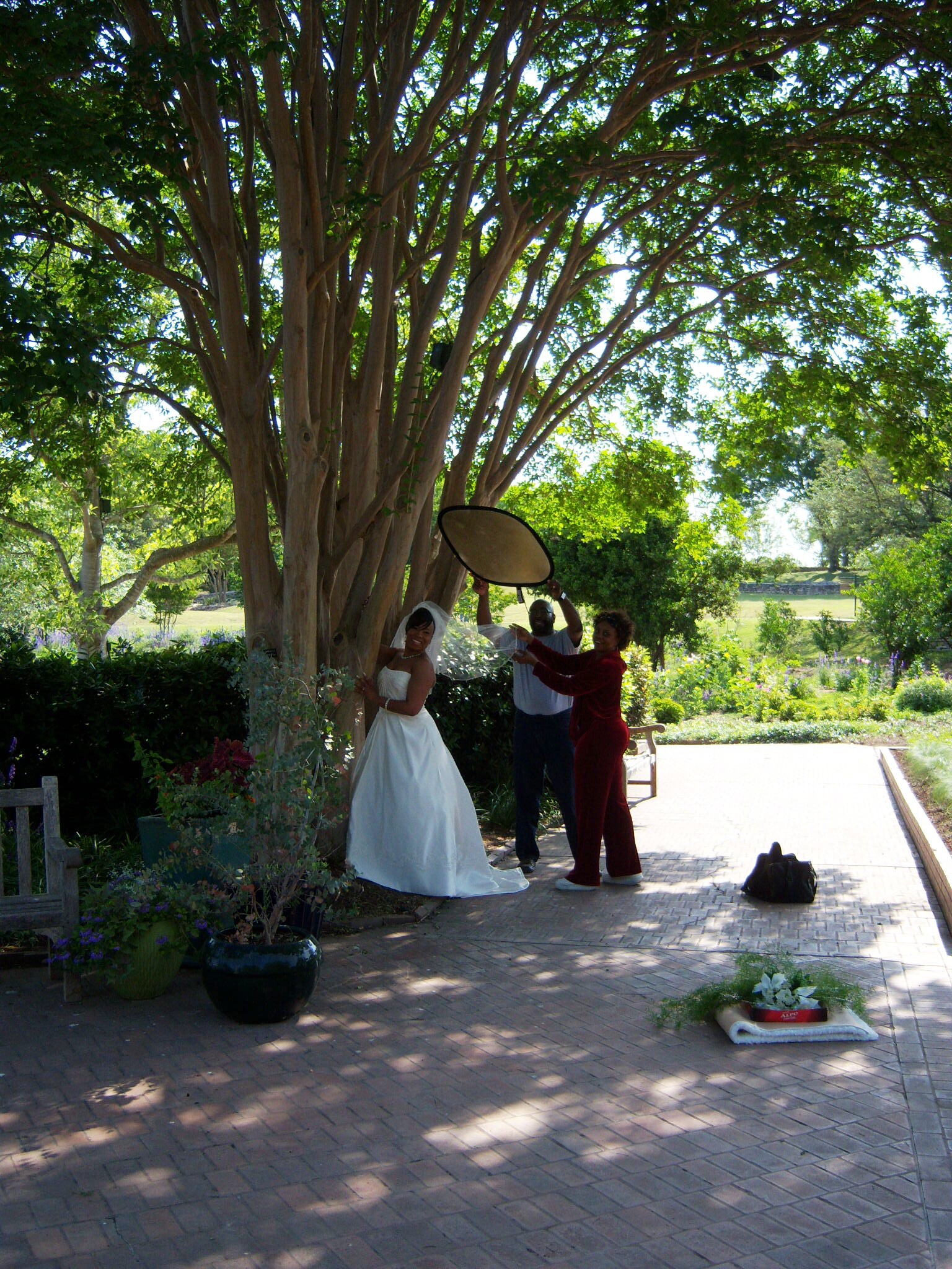 Bridal Photos