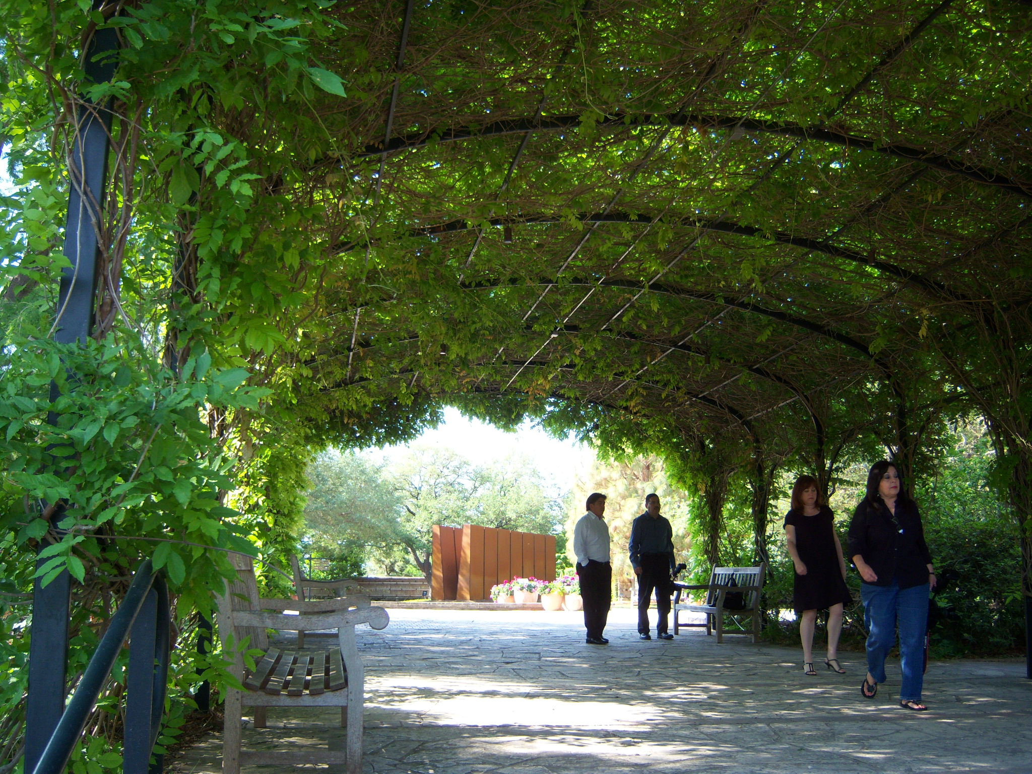 Grape Arbor