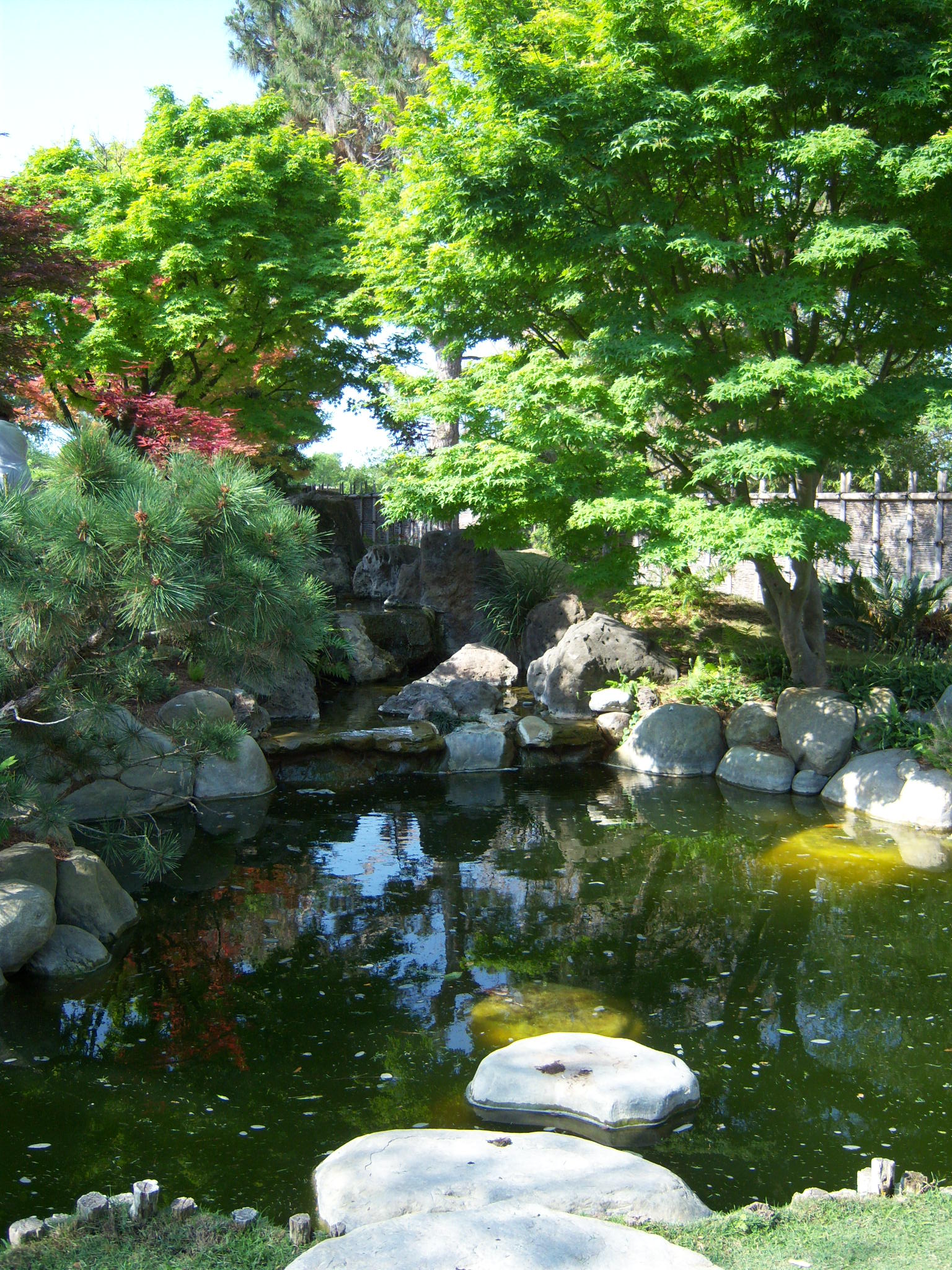 Japanese Garden