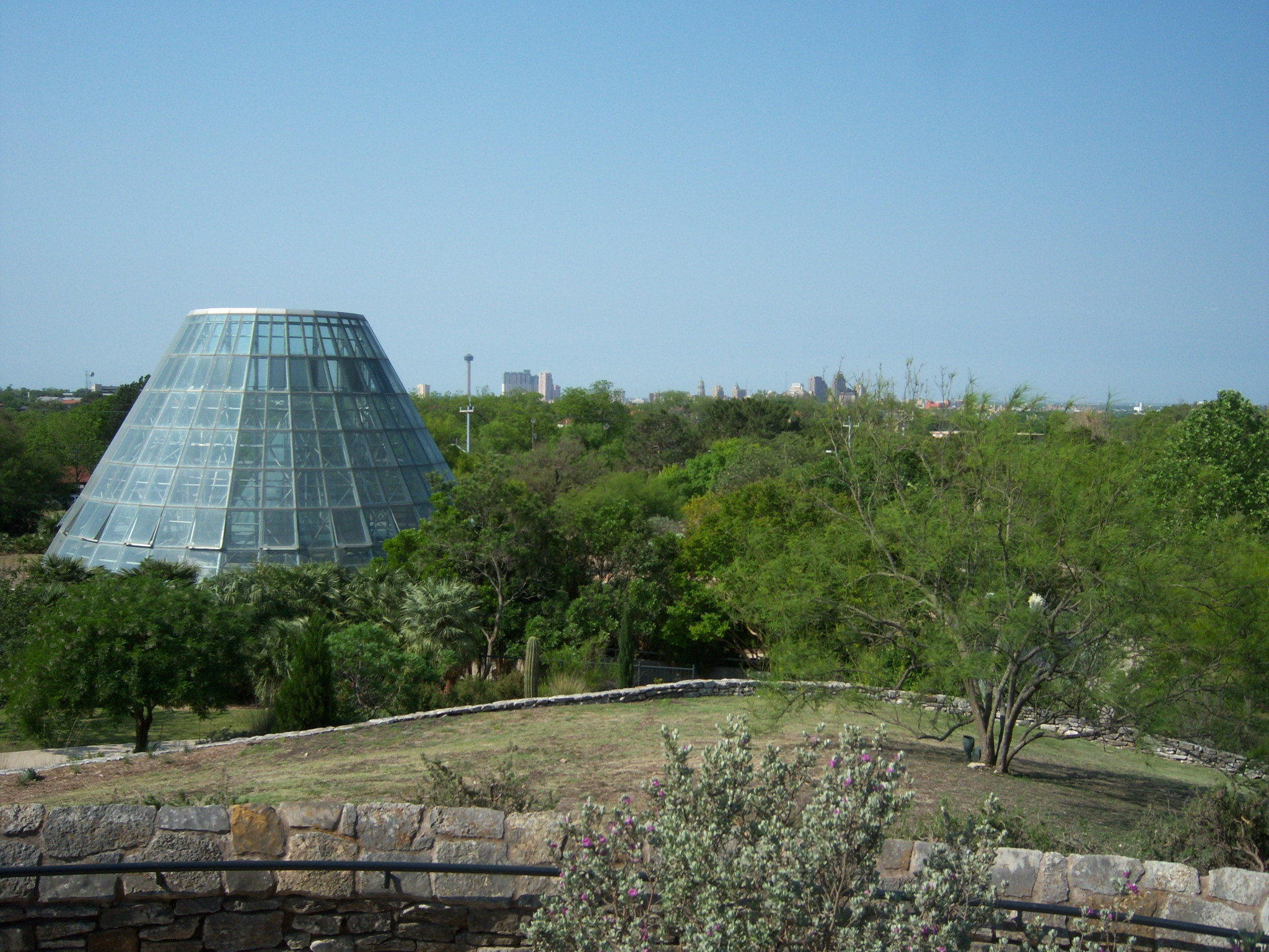 View of Downtown San Antonio