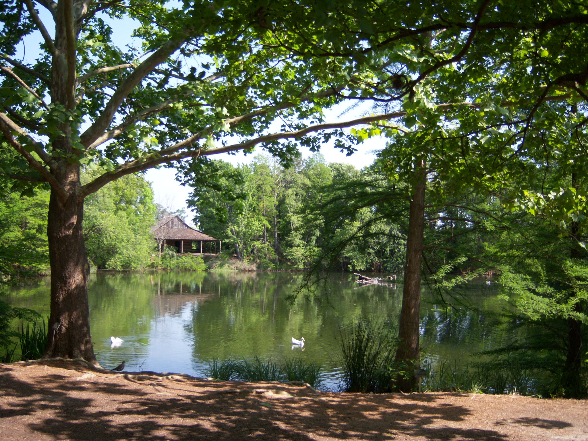 East Texas Cabin