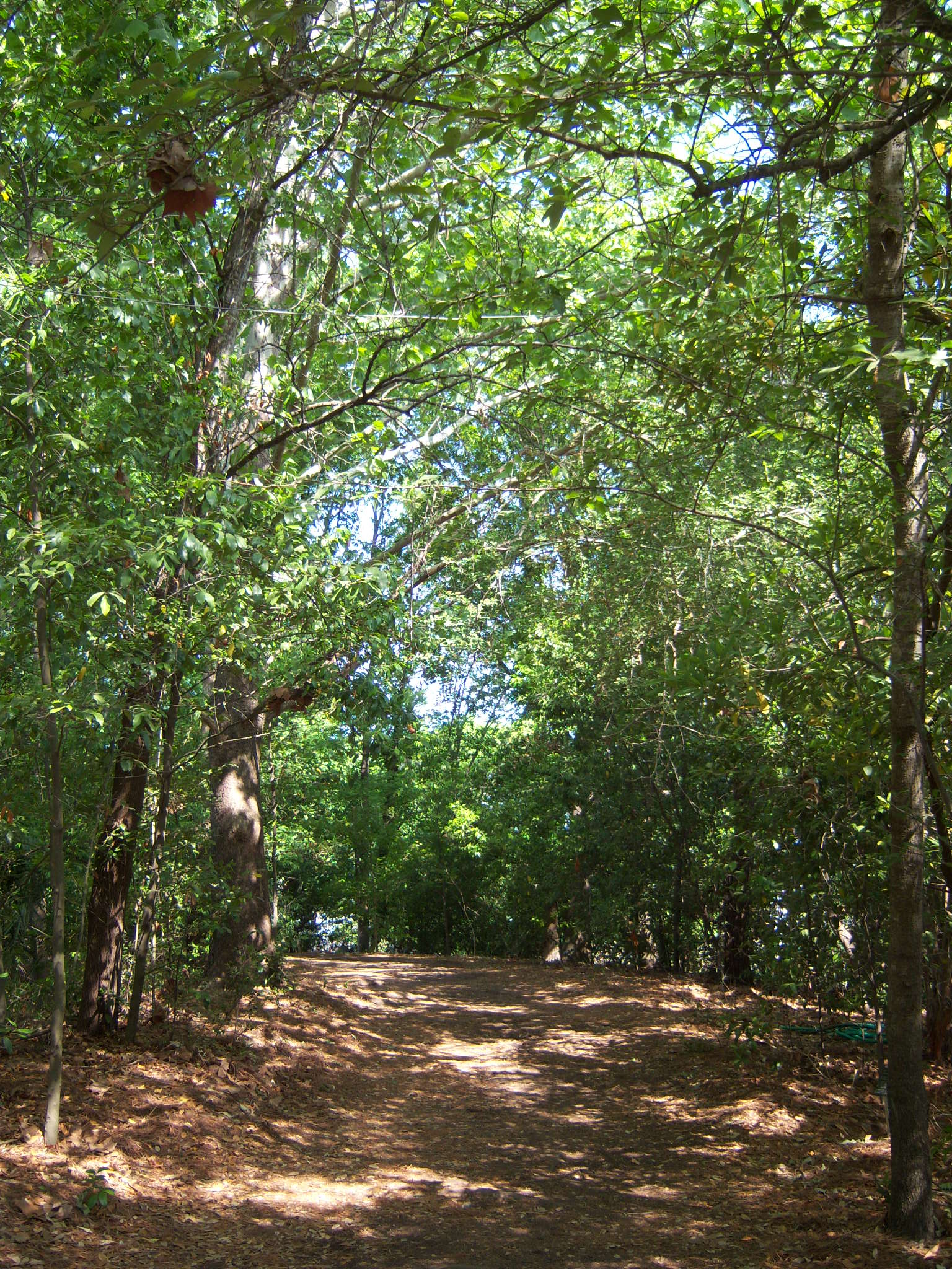 East Texas Trail