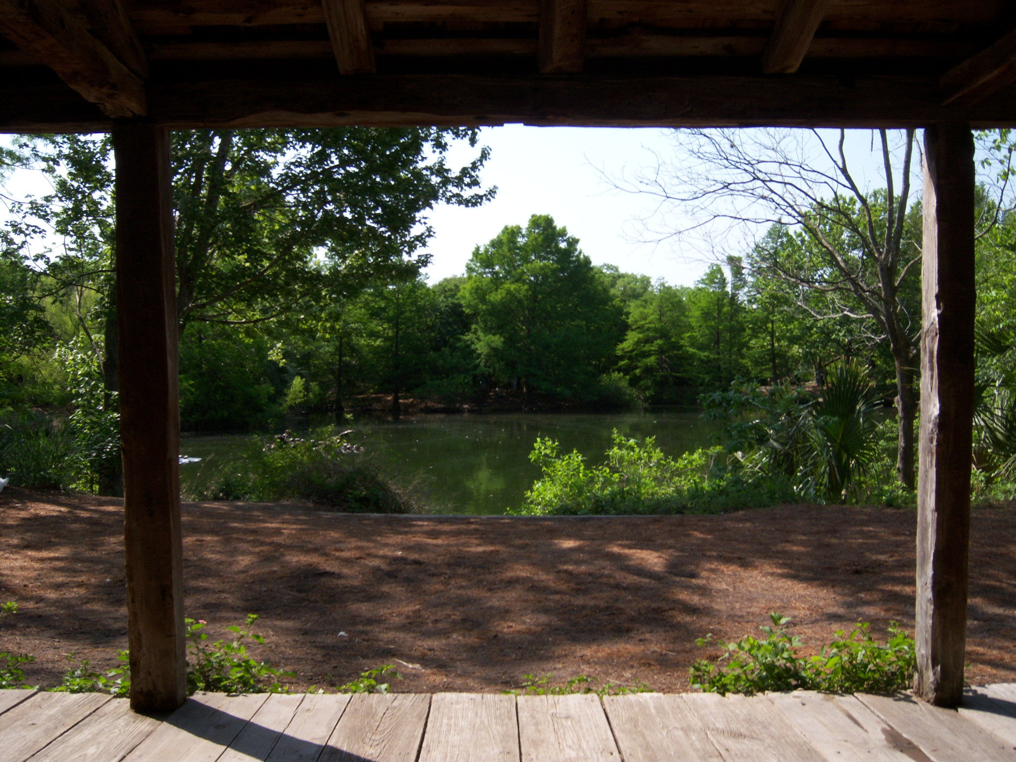 View from East Texas Cabin