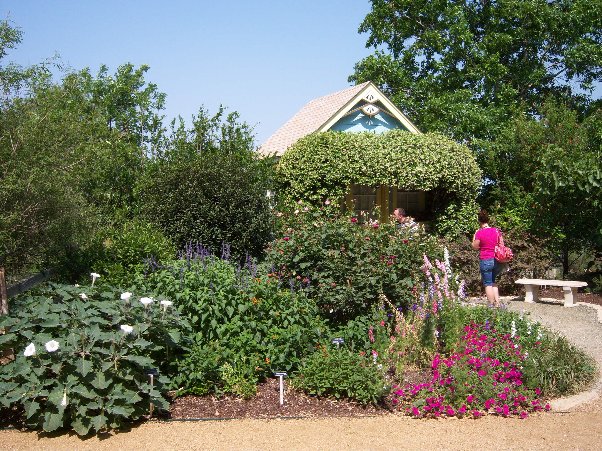 Cottage Gardening