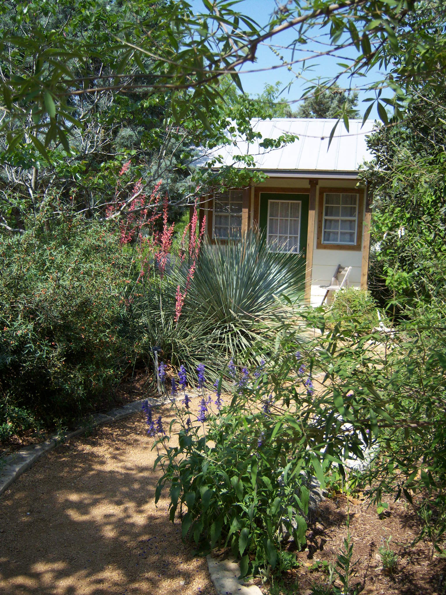 Texas Hill Country Landscape