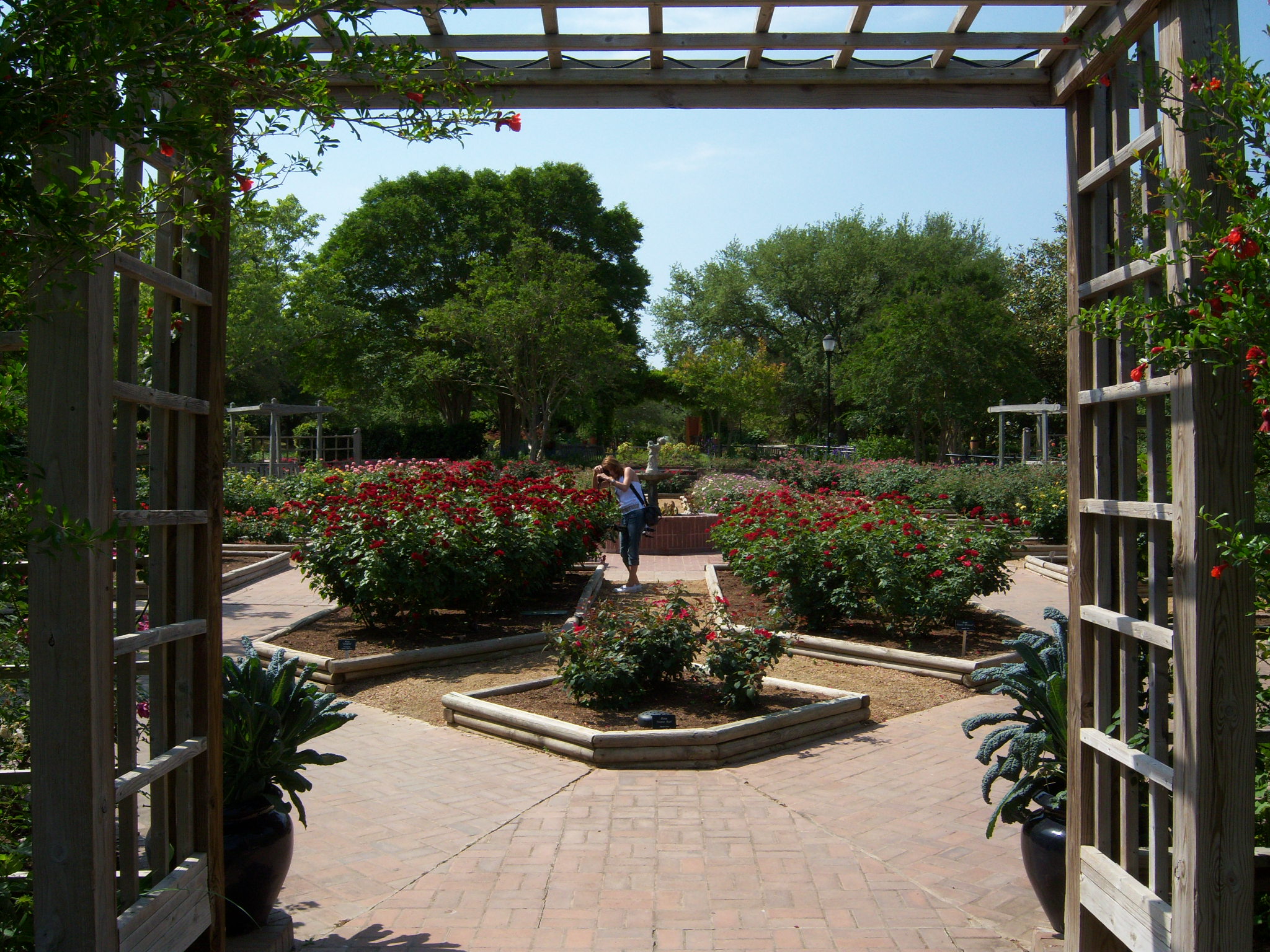 Rose Garden