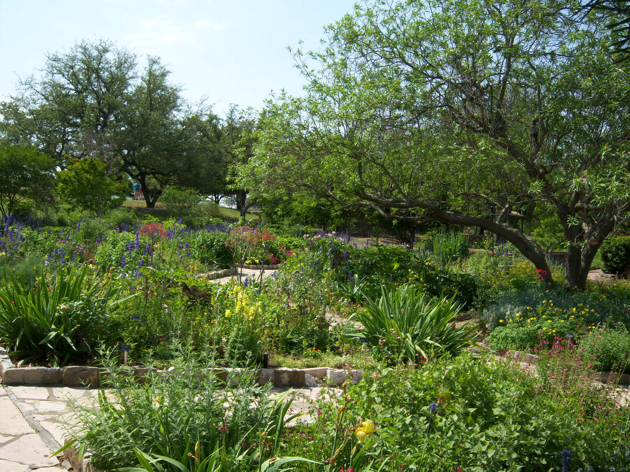 Hummingbird and Butterfly Gardens