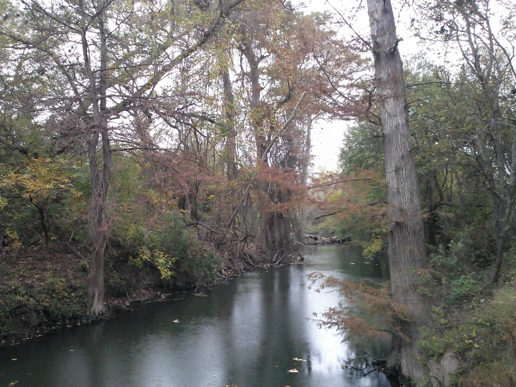 Photo of the Medina River in the Medina River Natural Area.