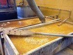 Photo of corn being cooked in lime water (nixtamal) at Adelita Tamales & Tortilla Factory.