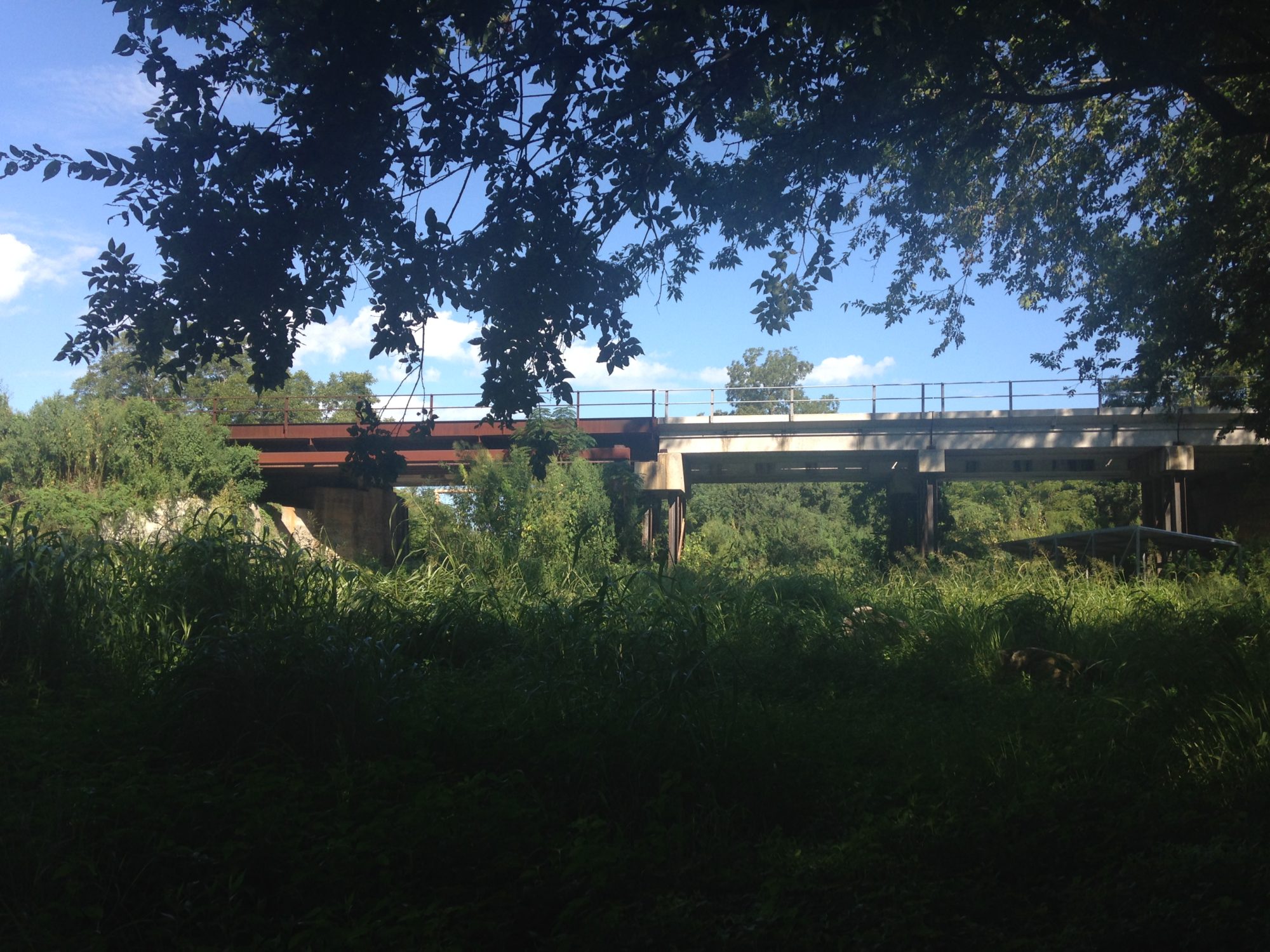 South Salado Creek Greenway San Antonio Tourist