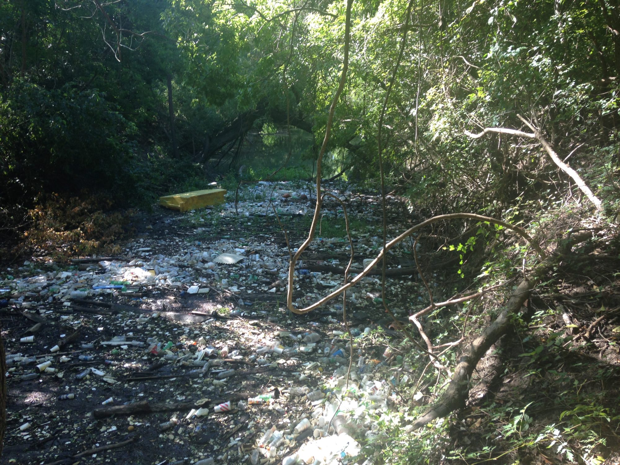 South Salado Creek Greenway San Antonio Tourist