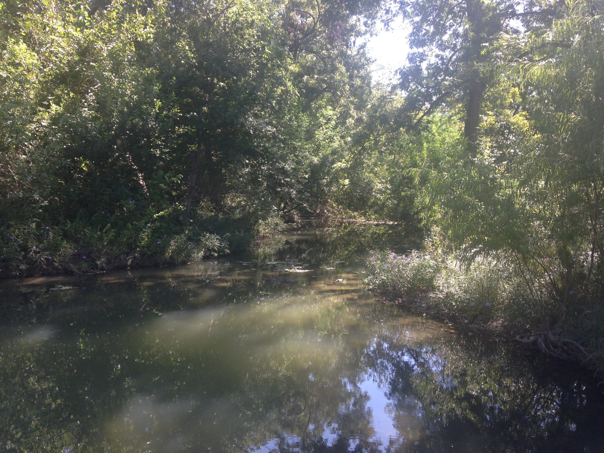 South Salado Creek Greenway San Antonio Tourist