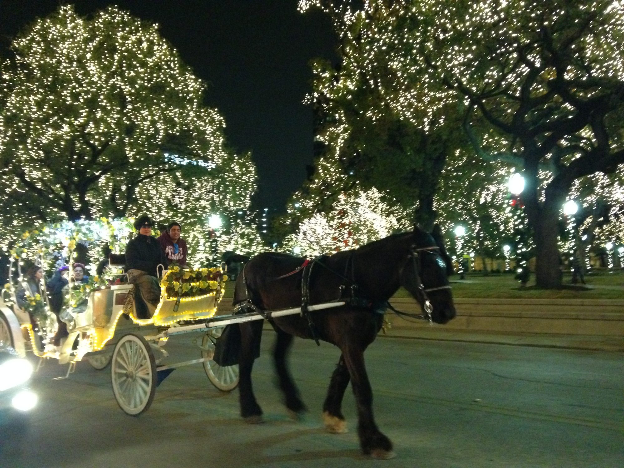 Photo of a horse-drawn carriage making its way through the wintertime twinkle lights in San Antonio, Texas.