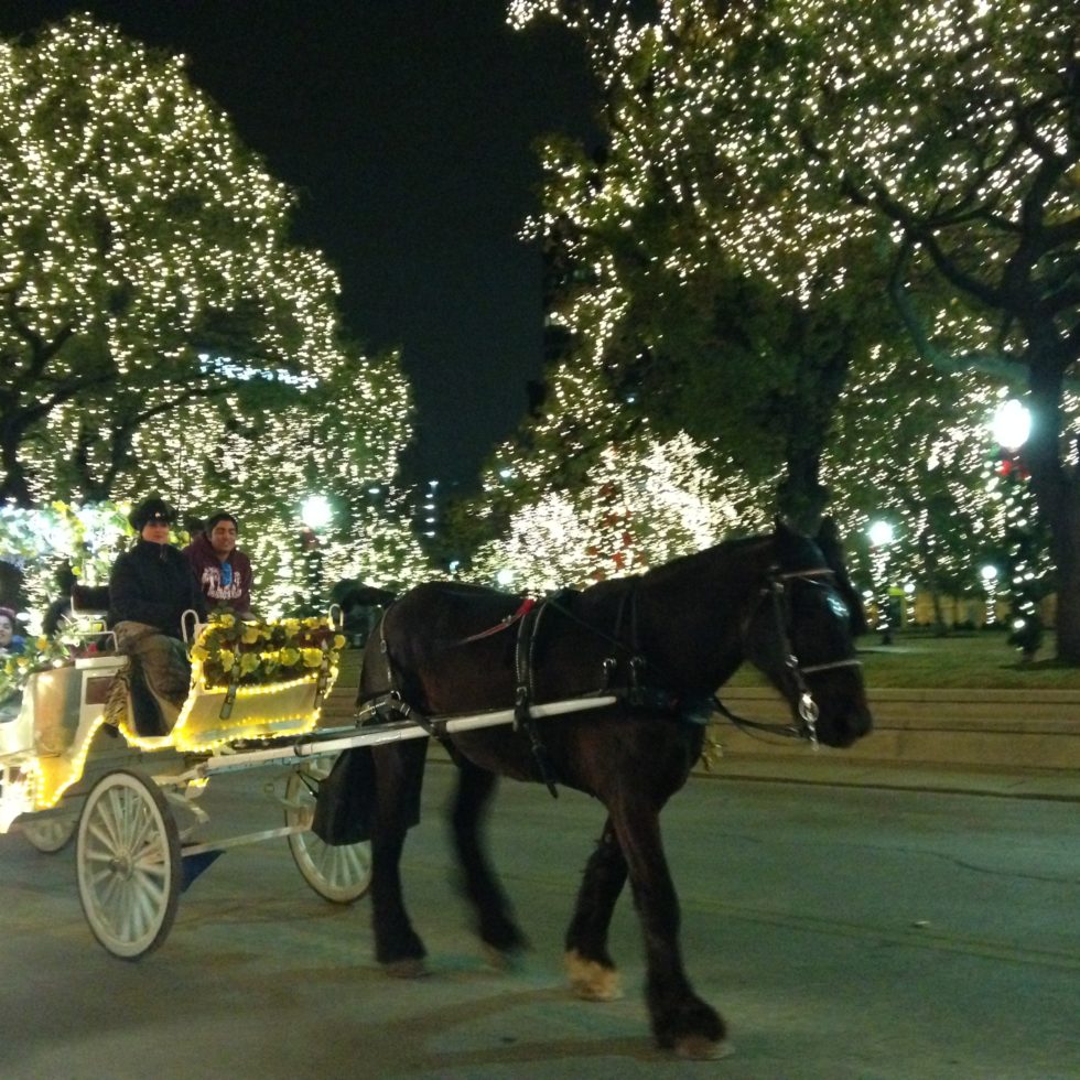 Photo of a horse-drawn carriage making its way through the wintertime twinkle lights in San Antonio, Texas.