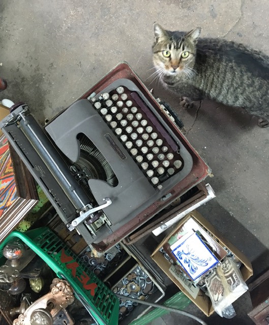 Photo of a manual typewriter with Yeya's cat.