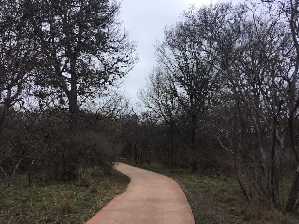 Tobin Land Bridge at Hardberger Park