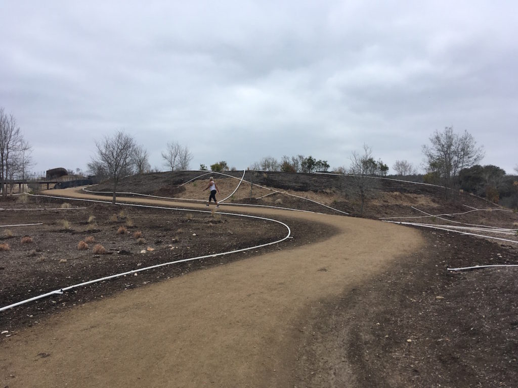 Tobin Land Bridge at Hardberger Park