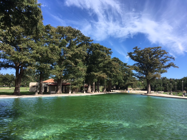 Photo of San Pedro Springs Pool in San Antonio, Texas.