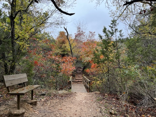 Photo of fall foliage and an empty bench overlooking the Texas Hill Country in Eisenhower Park.